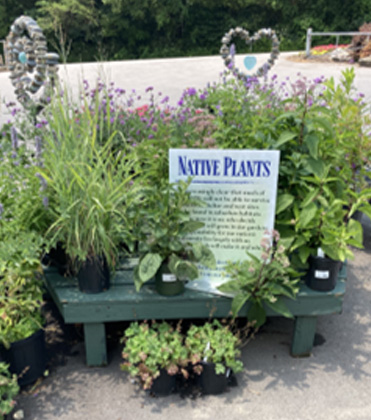 US Consumer Motivations Driving Native Plant Sales